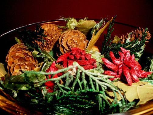 Fresh Cedar Botanical Potpourri