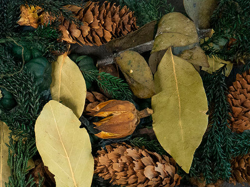 Pine Bough Botanical Potpourri