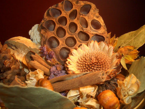 Sweet vanilla potpourri