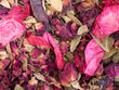 Rose Garden Botanical Potpourri, Petite Petals